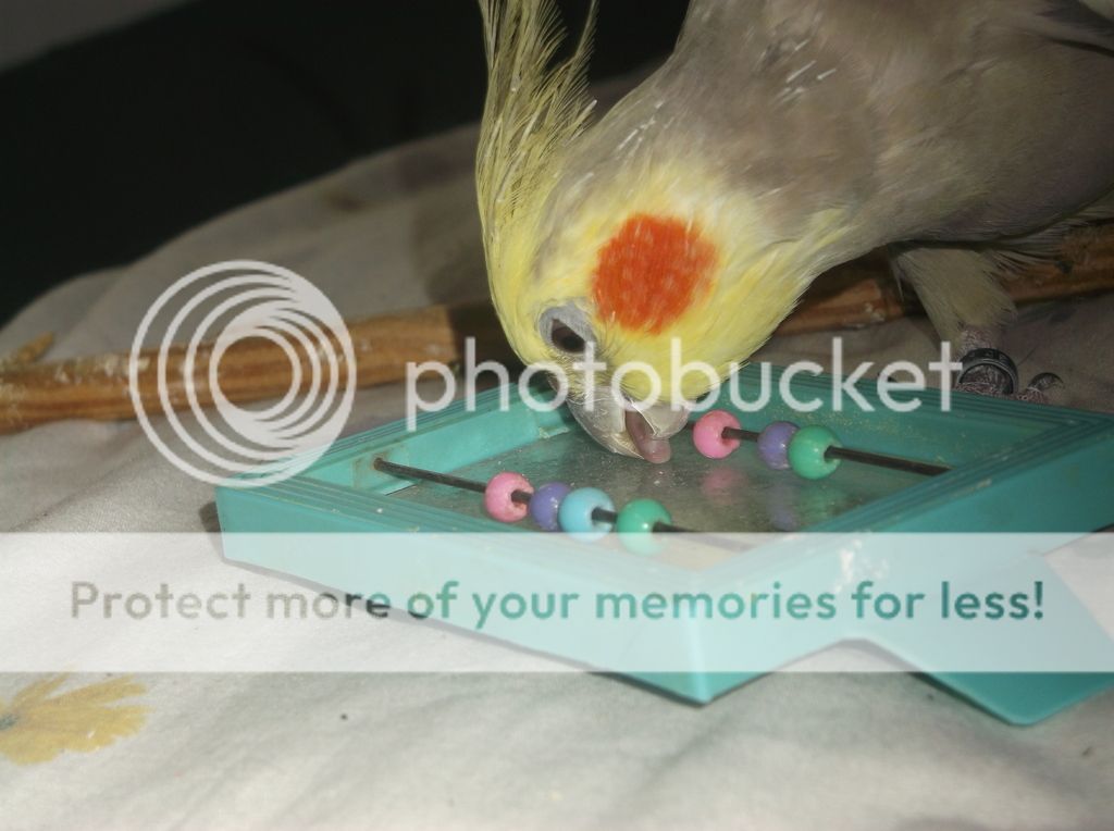 025_zpsihqmpdd5.jpg