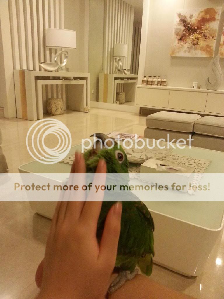 20131108_193406_zps106a1f6e.jpg