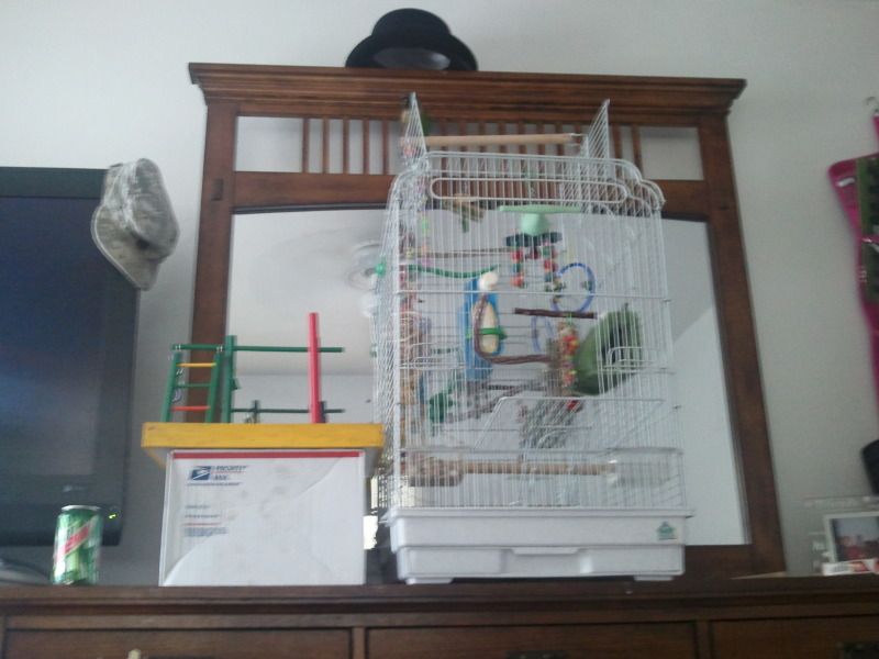 2012-07-27110933.jpg