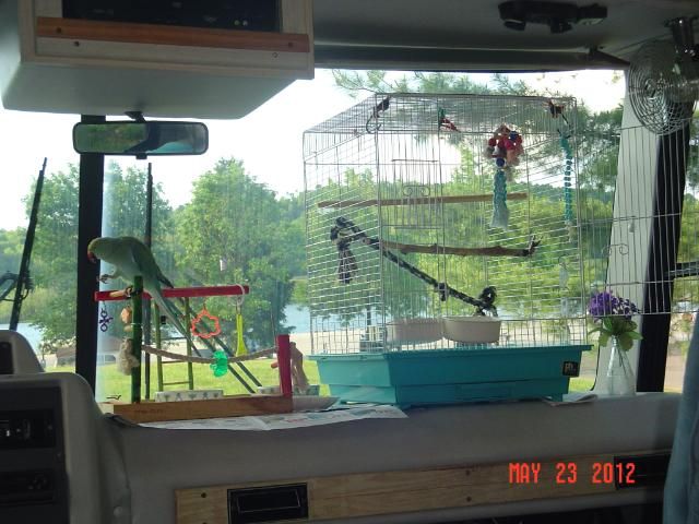 009-4.jpg