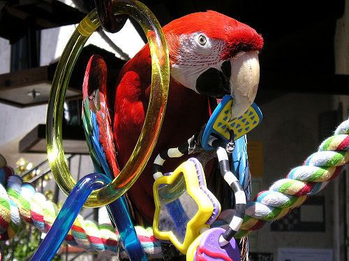 Berta02.jpg