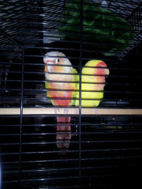 20120602_095450.jpg