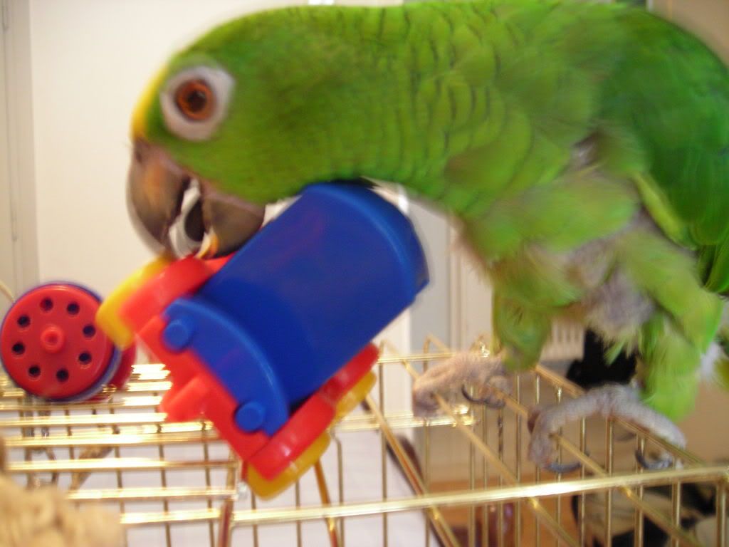 DSCN0397.jpg