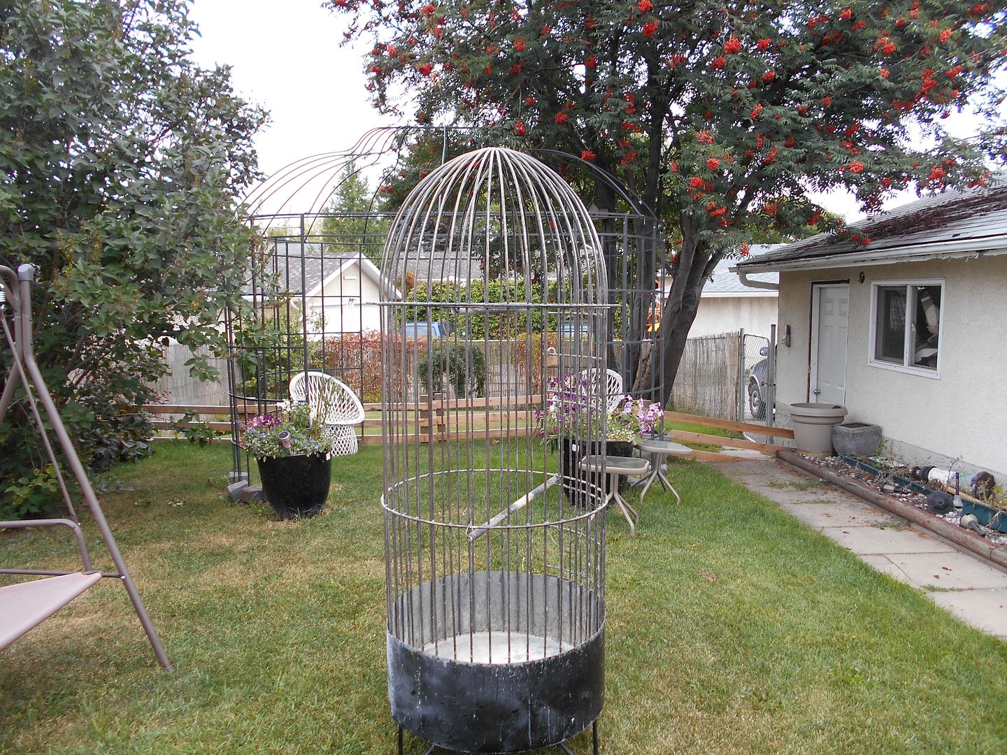 weddingcage019_zps683b06a3.jpg