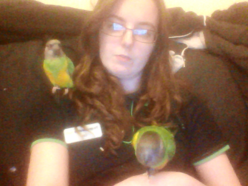 parrots4_zps15a645e1.png