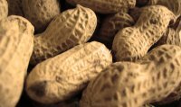 peanuts_200x119.jpg