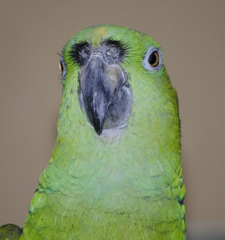 20100211_8.jpg