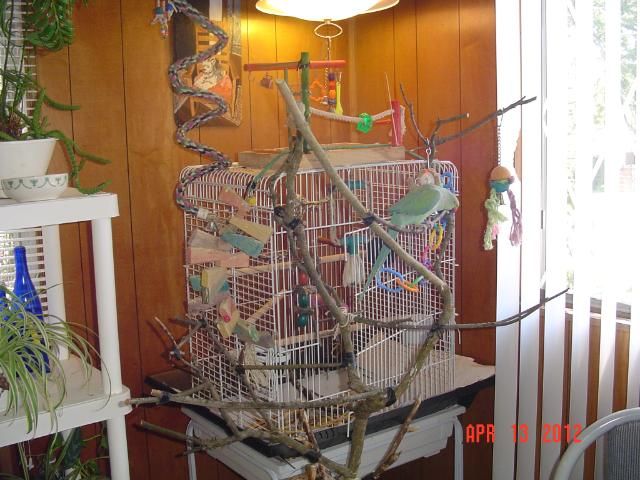 016-1.jpg