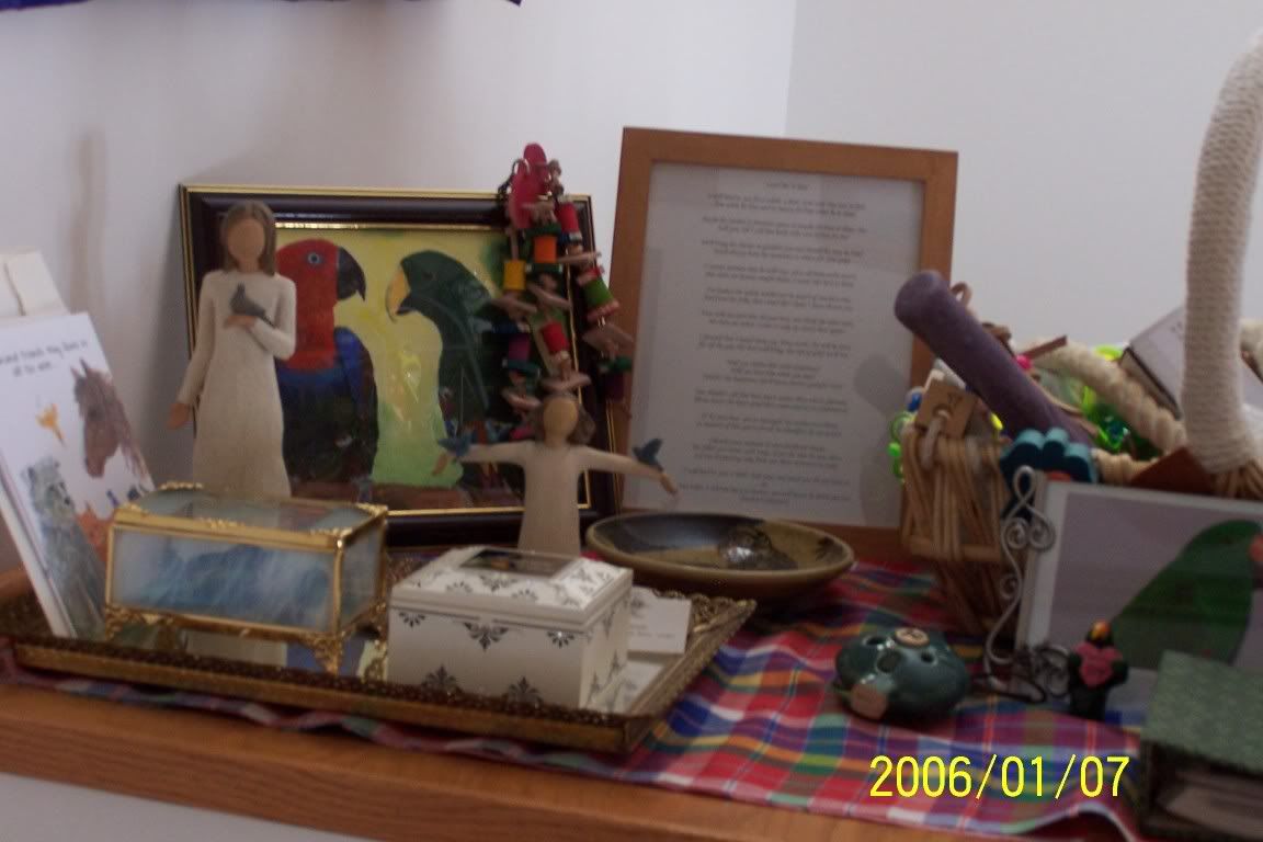100_0526.jpg