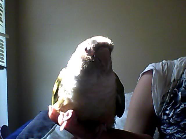 Snapshot_20120401.jpg