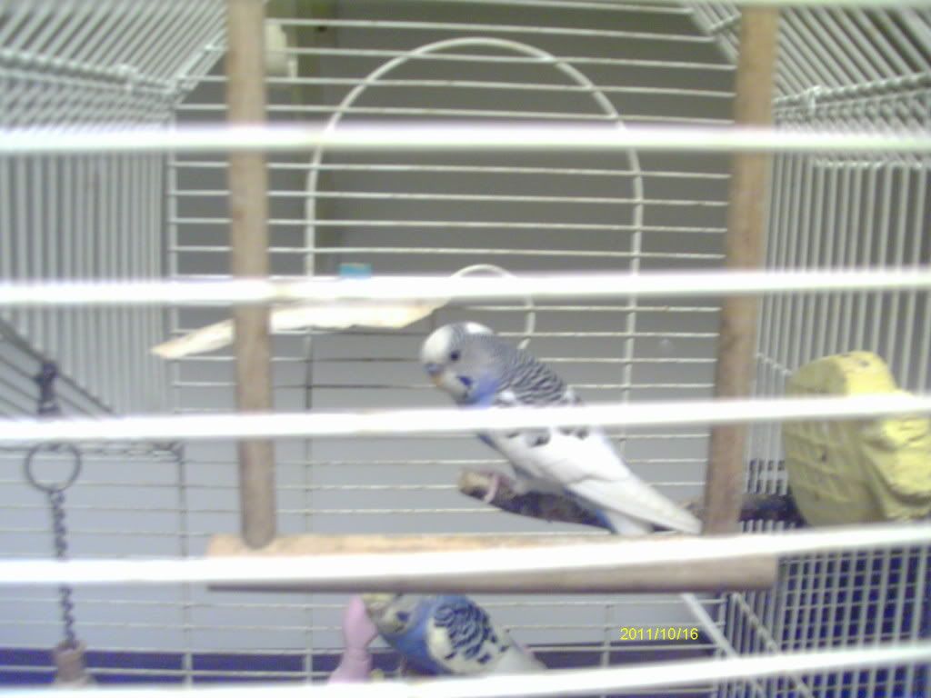 IMAG1627.jpg