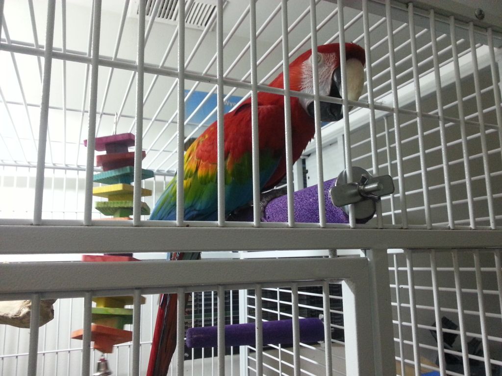 20130212_072348.jpg