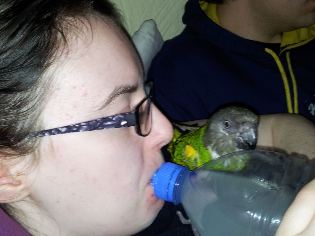 2011-11-22141655.jpg