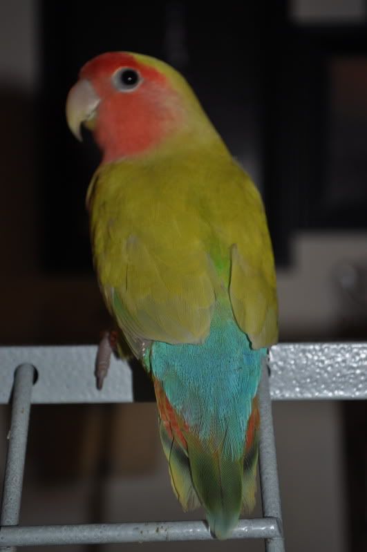 DSC_0170.jpg