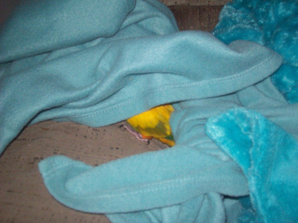 106_0058.jpg