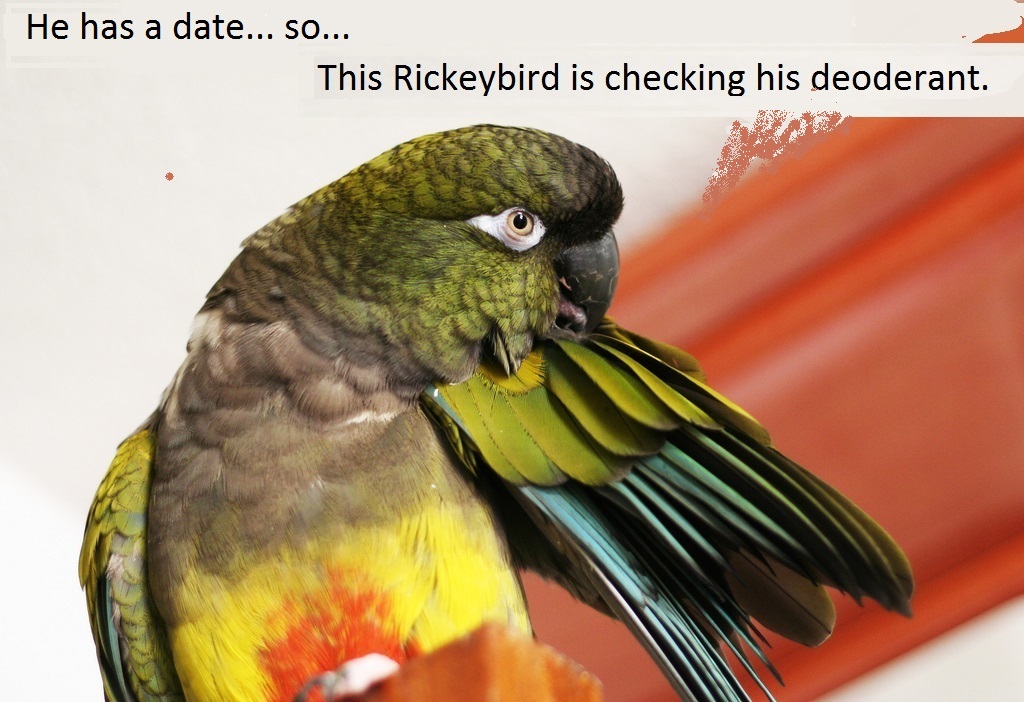 oBknRSc.jpg