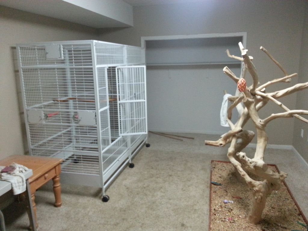 20130116_193708.jpg
