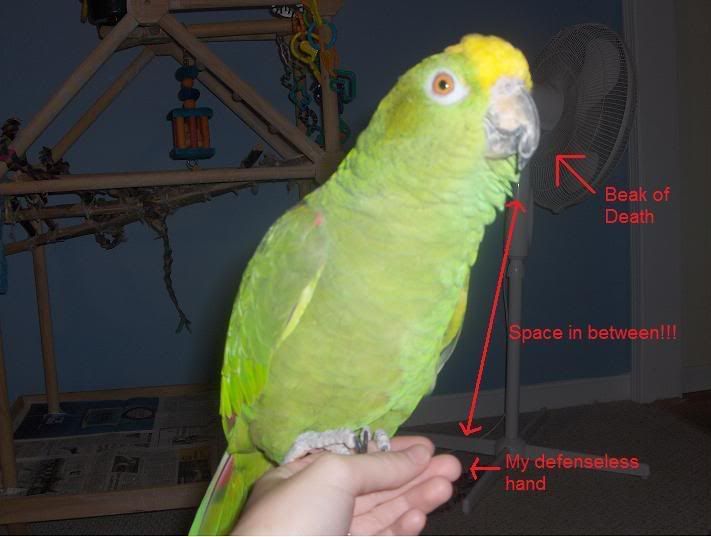 paintiggyhand.jpg