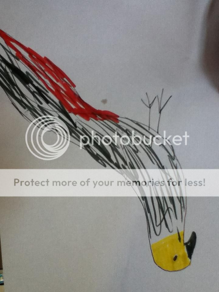IMG_4466_zps368827ed.jpg