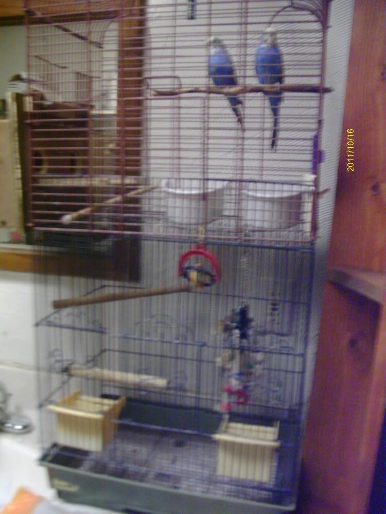 IMAG1618.jpg