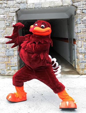 HokieBird1.jpg