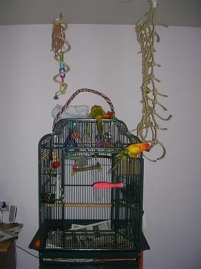 newsetup1.jpg