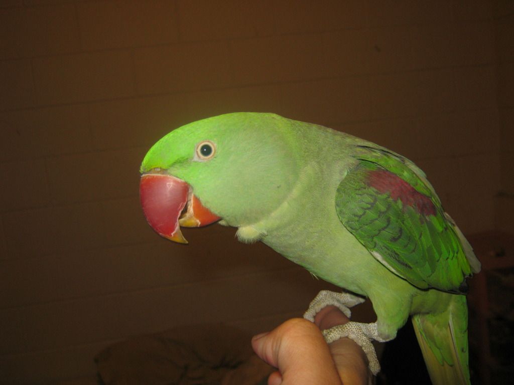 IMG_0077.jpg