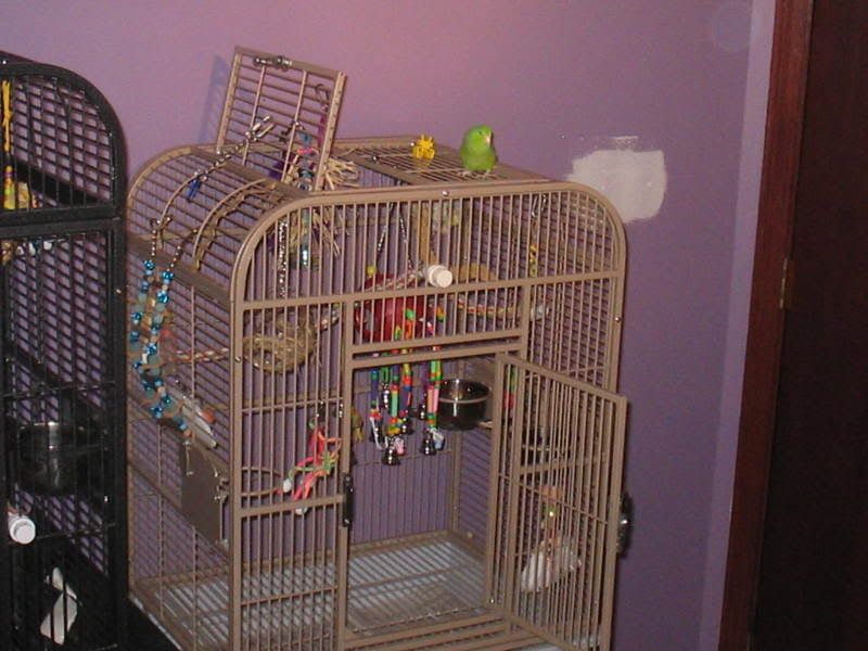 Picture020.jpg