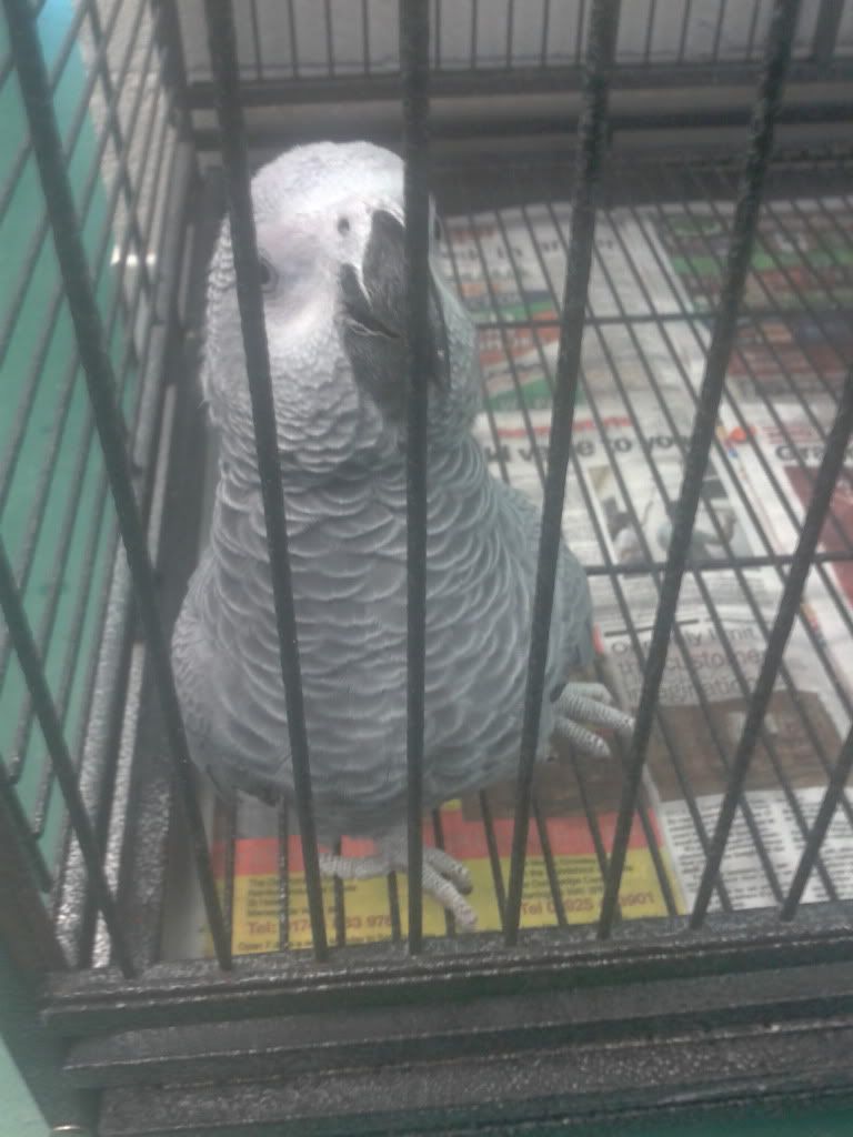 2012-03-15162209.jpg