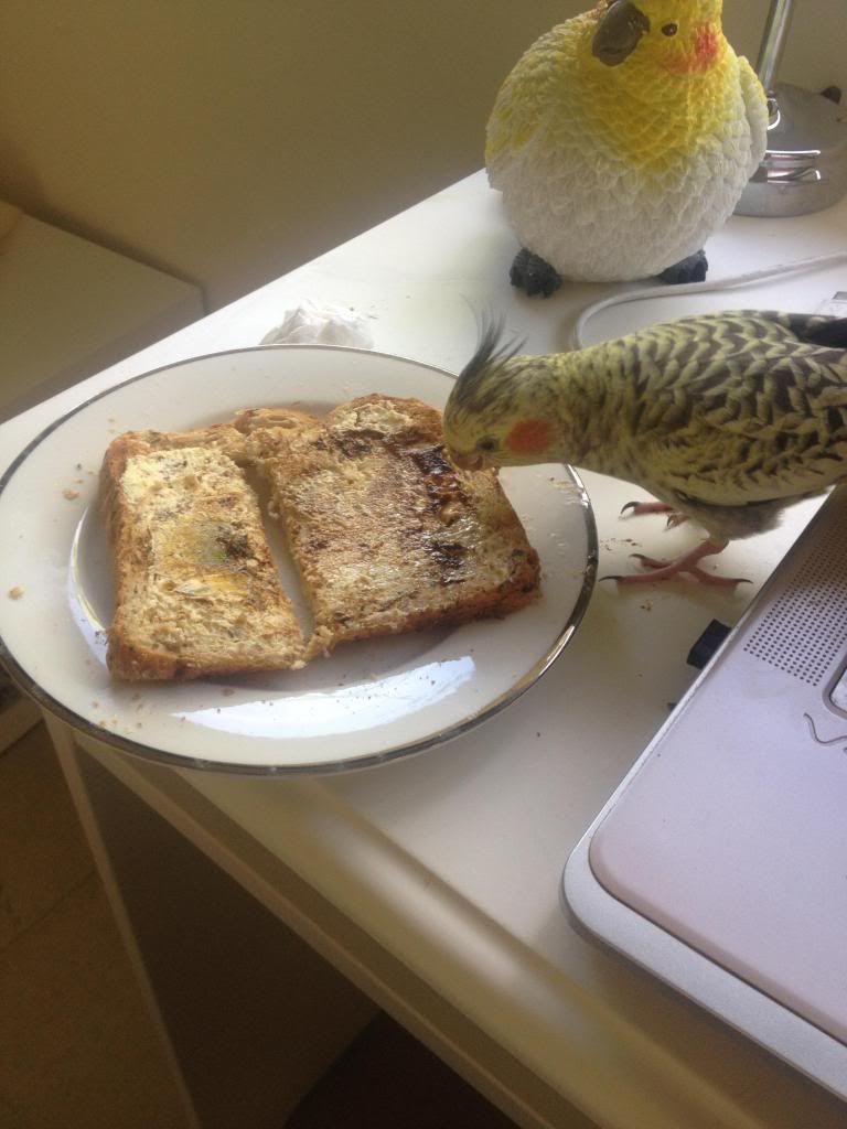 toast_zps2b0b6b9e.jpg