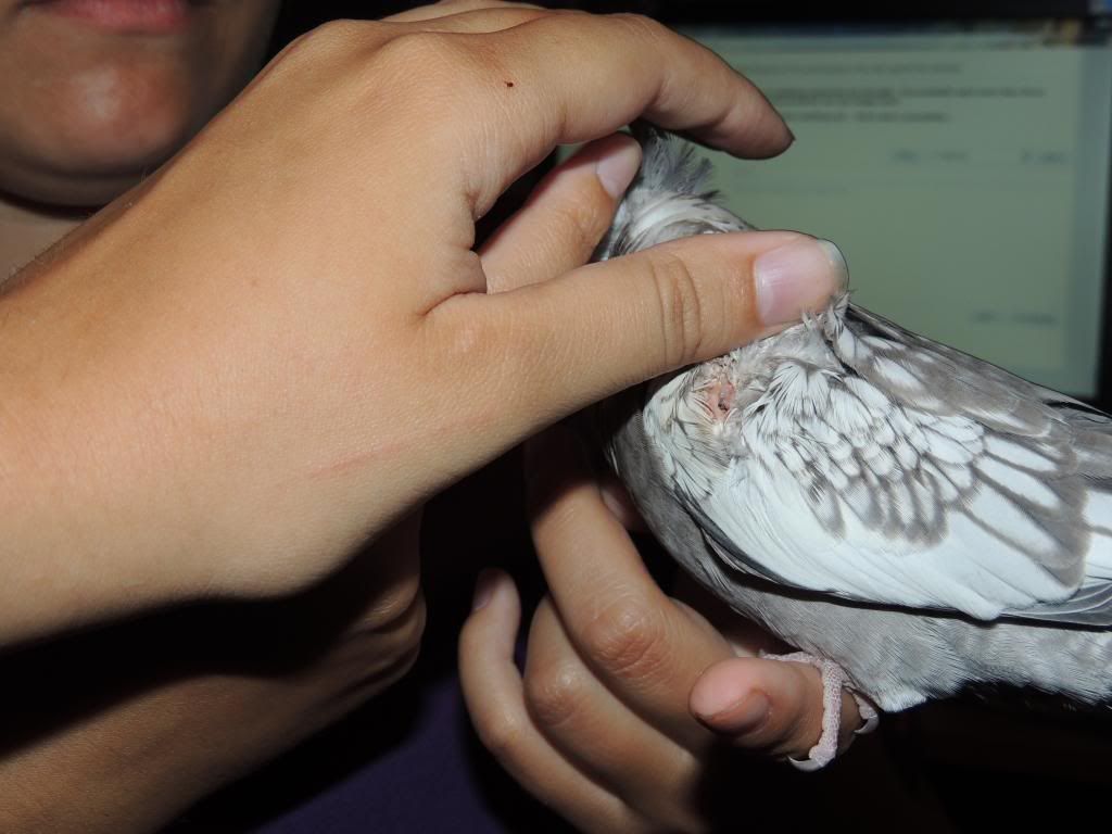 DSCN0947.jpg