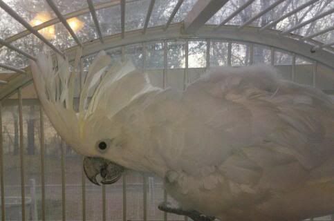 IMG_20111115_081100-1.jpg