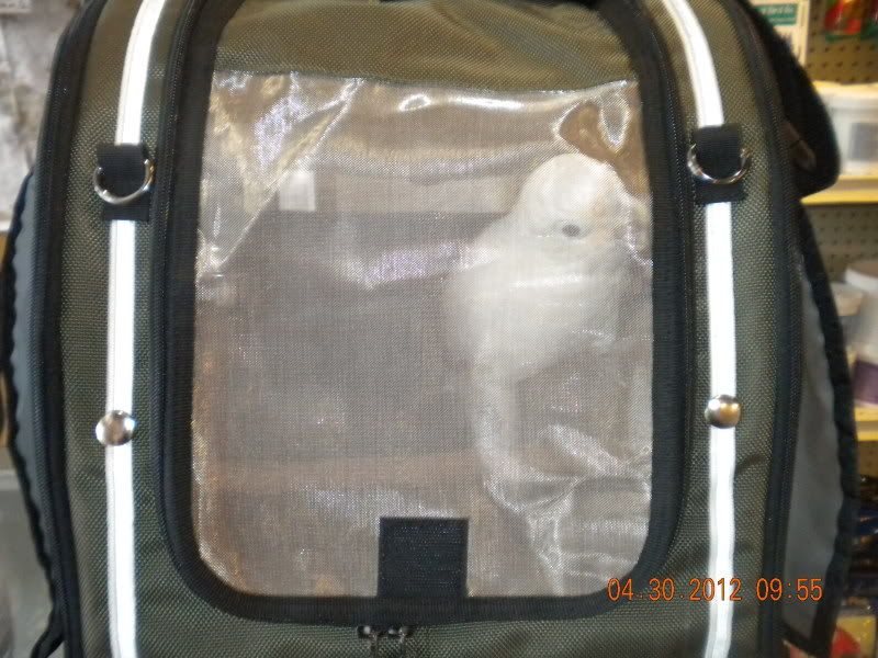 DSCN1615.jpg