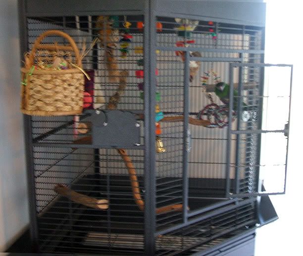 2-26-113.jpg