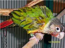 Memo121510-2.jpg