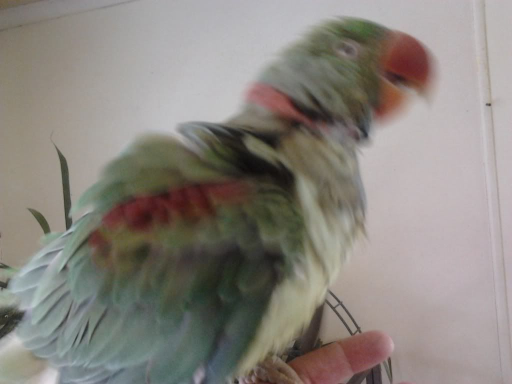 2013-03-22135454_zps4d124233.jpg