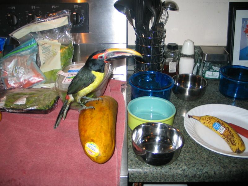 breakfastwithpico004.jpg