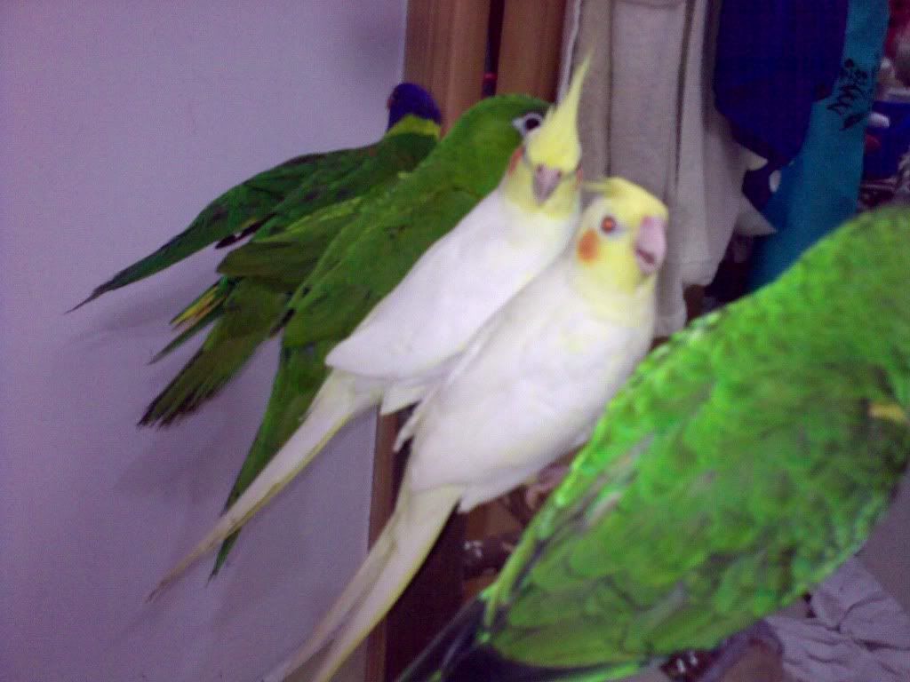 20100917367.jpg