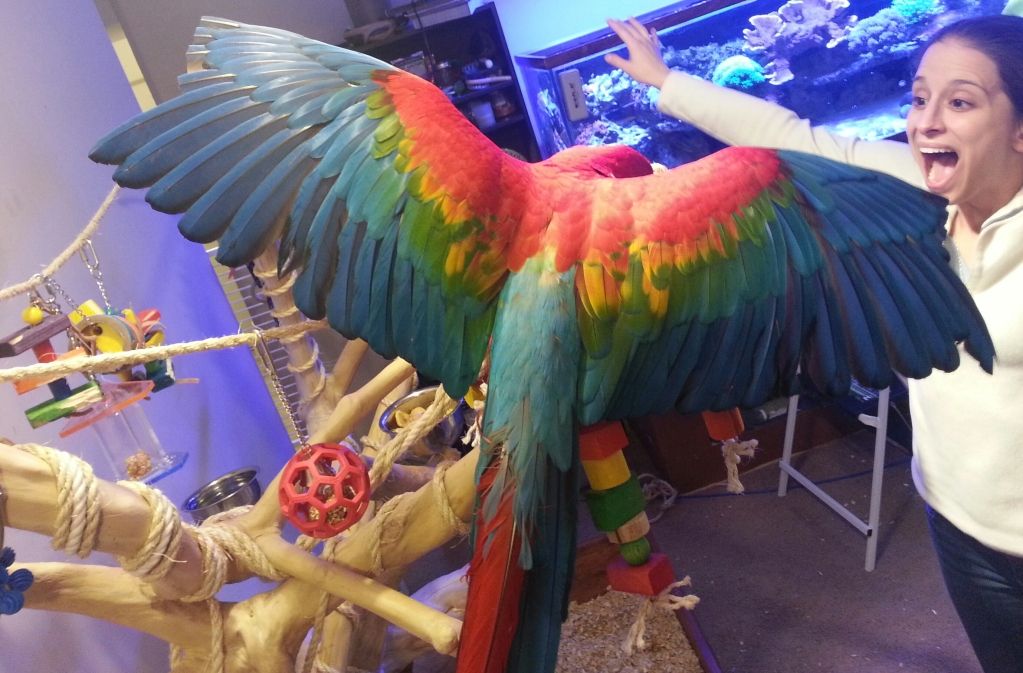 20130212_185720-1.jpg