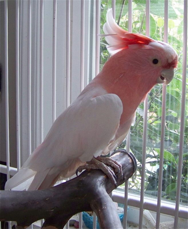 100_9546.jpg