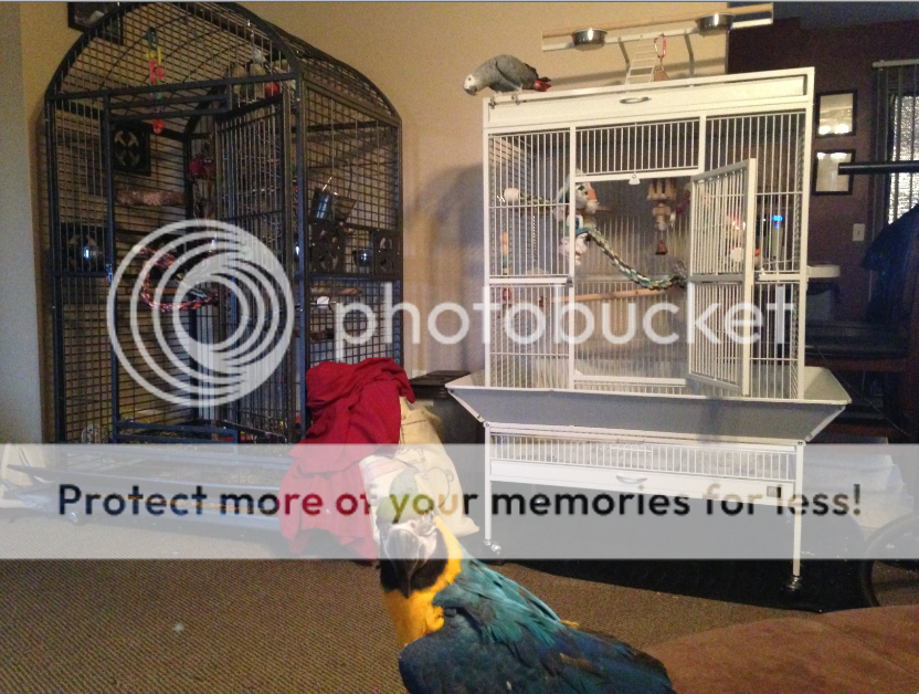 ScreenShot2014-04-12at75311PM_zps3b1a6234.png