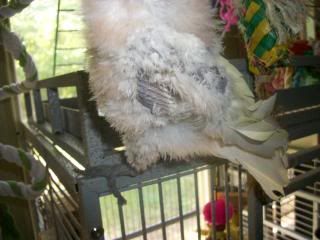 100_2029.jpg