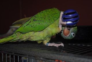DSC_1186.jpg