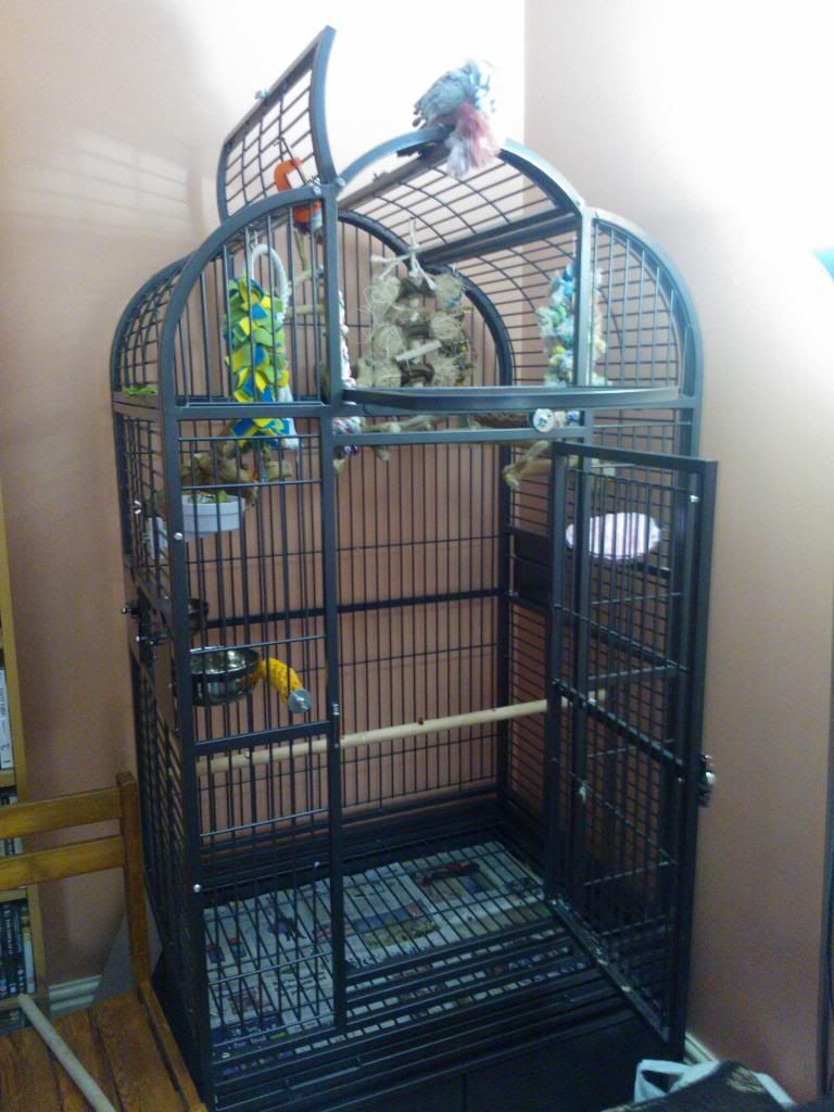 WP_000657.jpg