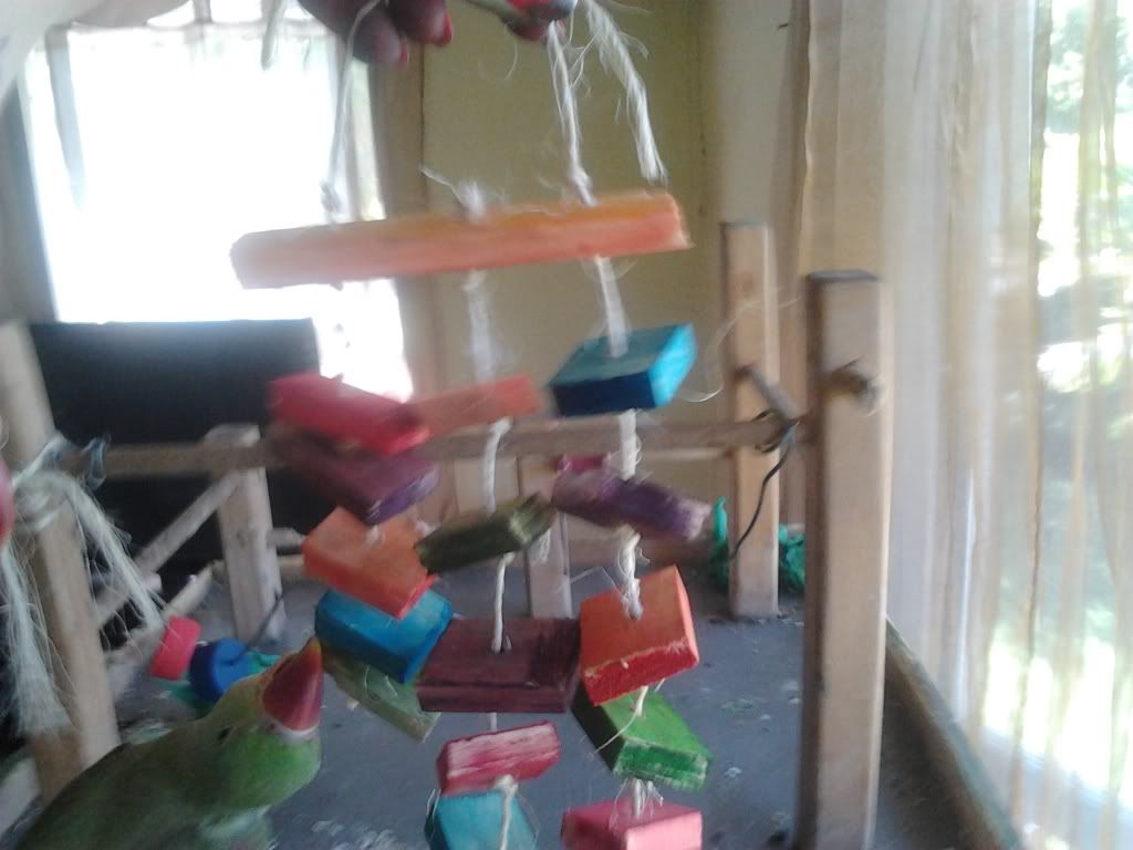 2013-03-18143115_zps169df47e.jpg