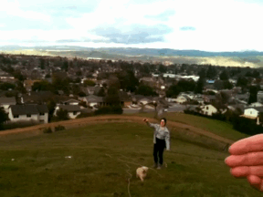 tumblr_mgjh3iodcc1rs86coo1_400.gif