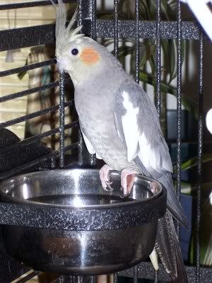 20120502_8.jpg