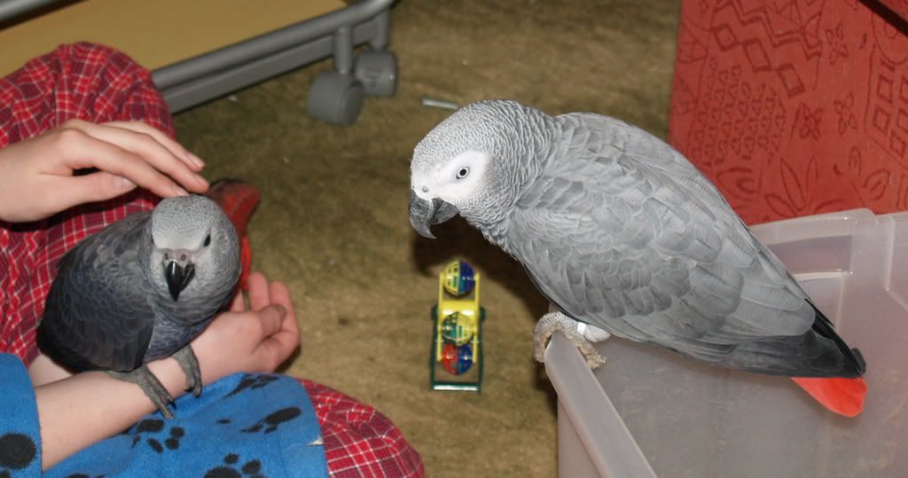 kito4.jpg