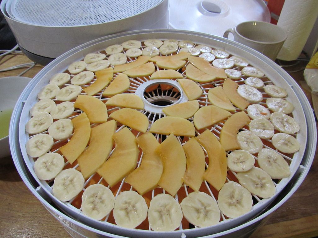 IMG_1606_zpstx4kahic.jpg