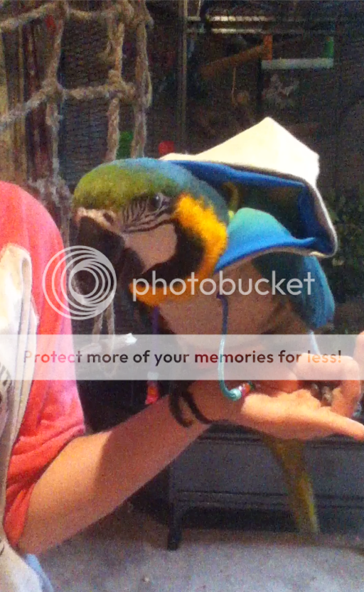 Screenshot2013-04-11at44542PM_zpsd901e6ea.png
